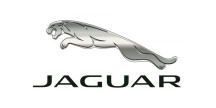 Valvola di sicurezza della turbina per Jaguar